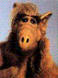 Alf