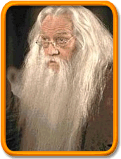 Albus Dumbledore, Harry Potter