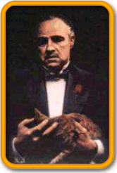 The Godfather, Don Vito Corleone