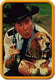 Rosco P. Coltrane, Dukes of Hazzard